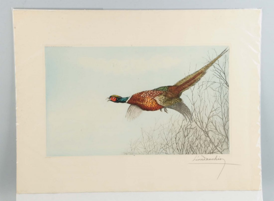 Etching "Pheasant in Flight" Leon Danchin.: Leon Danchin (1887-1939) "Pheasant in Flight" limited addition etching in colors 152/500. 22" x 30" sheet size. Signed and numbered in pencil lower right. Size 30" x 22 -1/4".