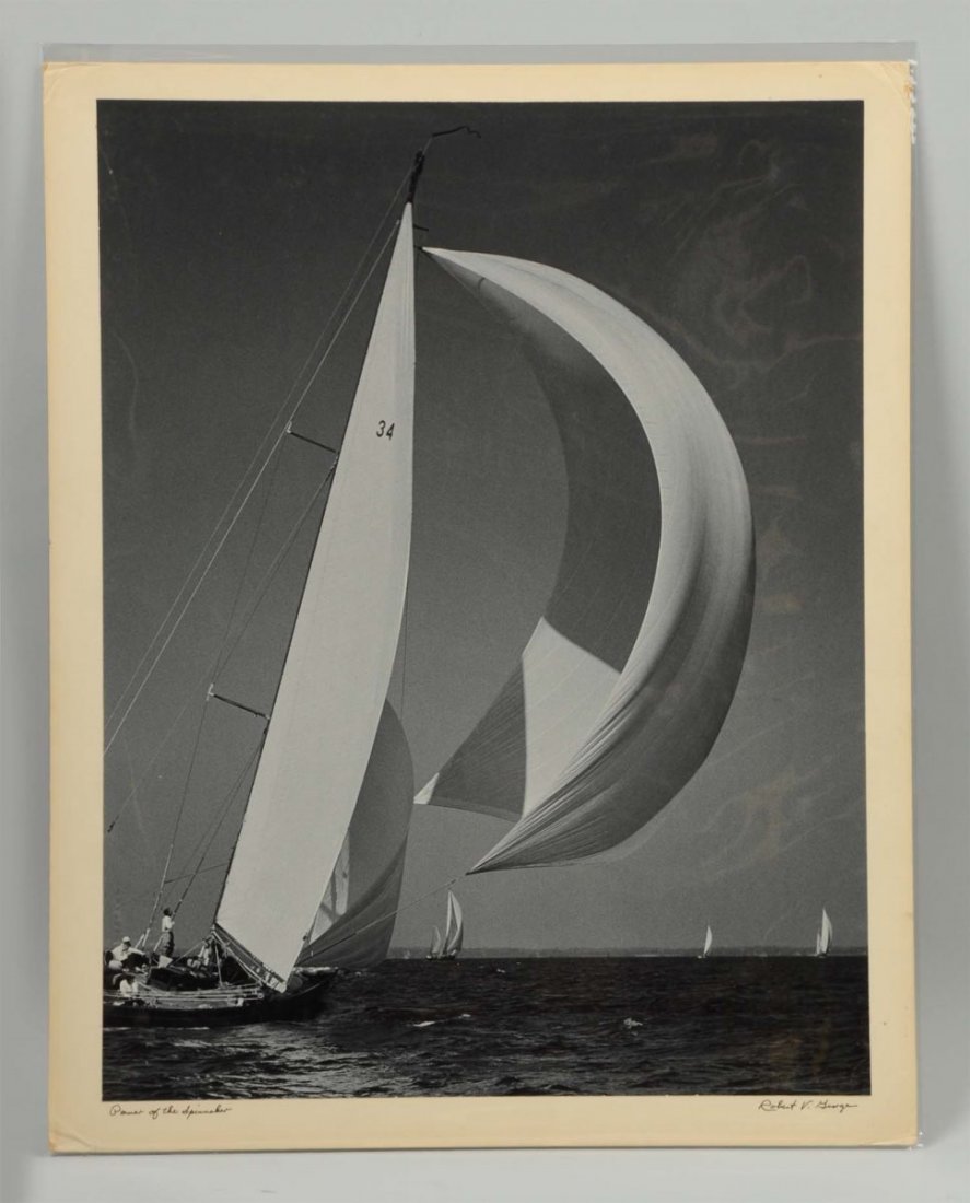 "Power of the Spinnaker" Photo. (1 of 3)