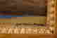 item-43454293=2