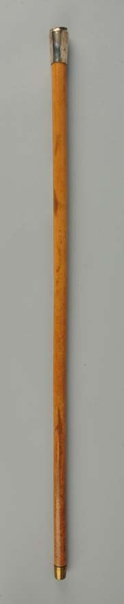 Gadget Cane or Walking Stick. (1 of 3)