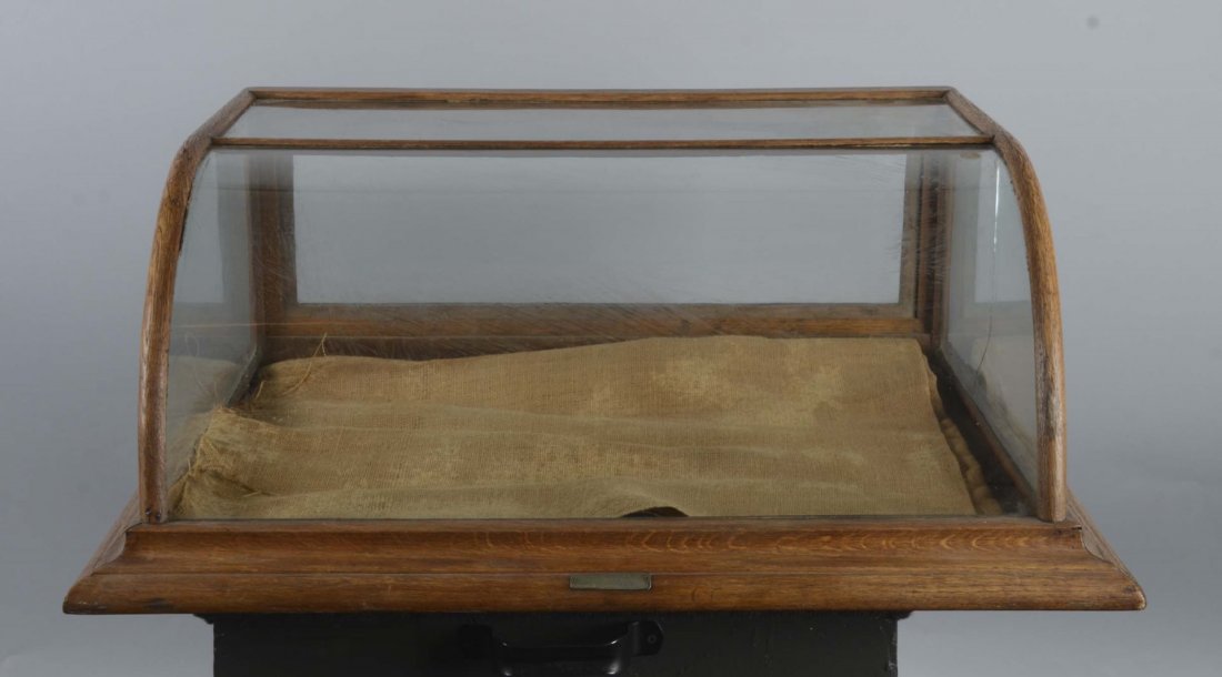 Small Excelsior Oak & Curved Glass Showcase (1 of 4)