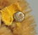 Most Unusual Uncataloged Lying Steiff Cat With IDs - 4