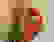 item-45522060=4
