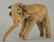 Steiff's Very Early, Fully Jointed Mohair Elephant