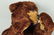 Steiff Studio Display Bear With IDs. - 4
