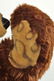 Steiff Studio Display Bear With IDs. - 6