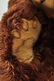 Steiff Studio Display Bear With IDs. - 7