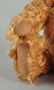 Three Charming Mohair Steiff Teddy Bears with IDs. - 8