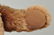 Family of 3Caramel Mohair Original Teddy Bears. - 4