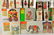 Steiff Golden Age Of The Circus Set. - 5
