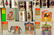 Steiff Golden Age Of The Circus Set. - 6