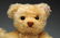 Two Steiff Limited Edition Bears. - 9