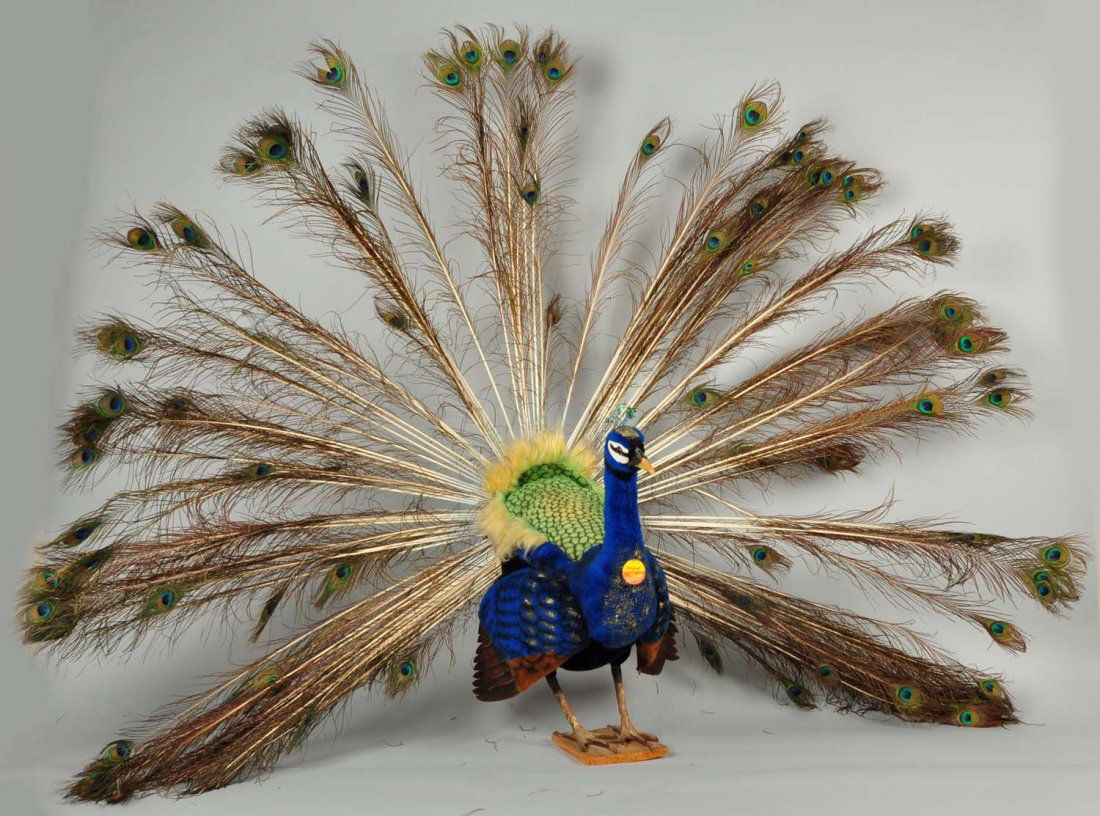 Lovely Steiff Studio Peacock With IDs. (1 of 10)