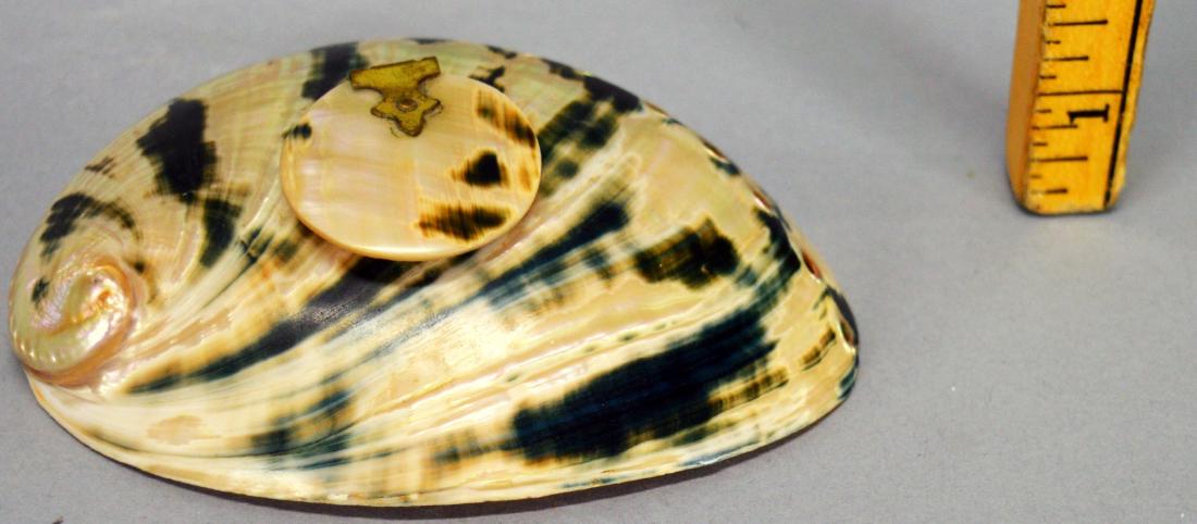 Genuine seashell inkwell with glass insert (insert (1 of 4)