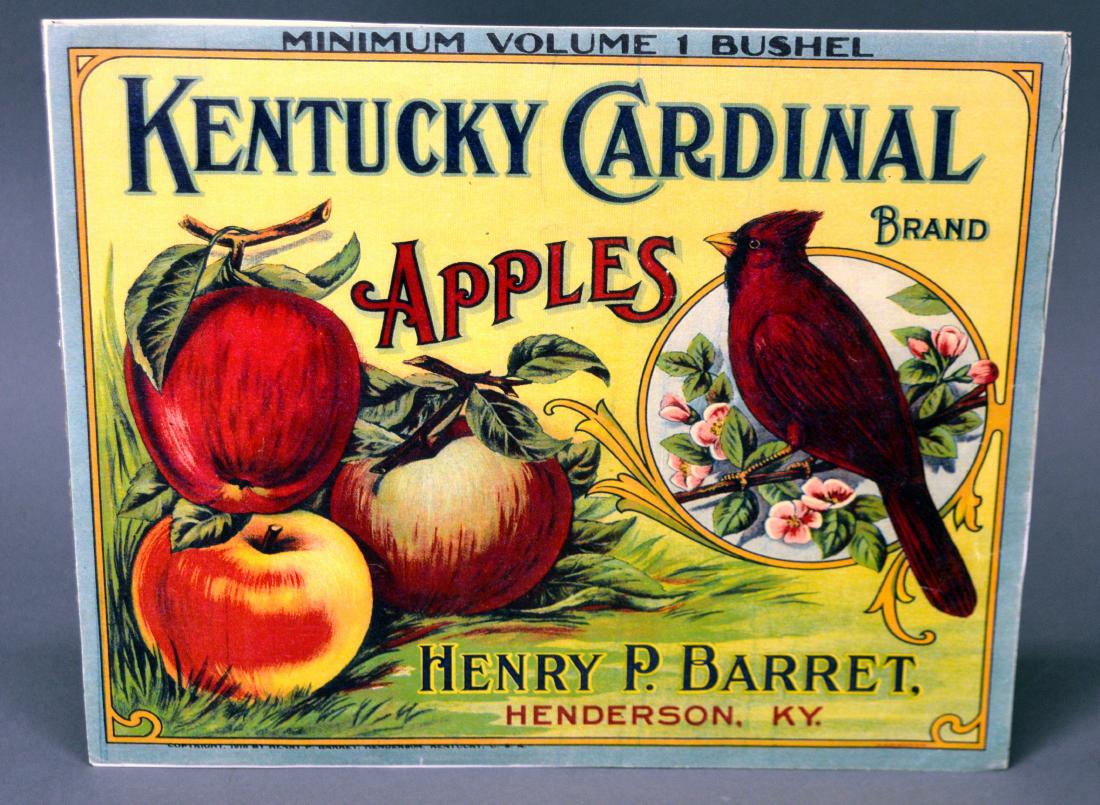 Kentucky Cardinal Apples litho paper advertisement (1 of 1)