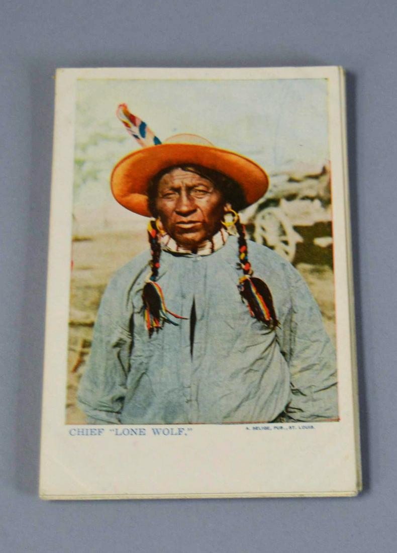 10 Antique Native American Postcards A. Selige (1 of 5)