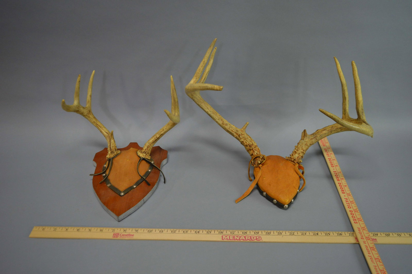 2 Pairs of Mounted Antlers: 2 Pairs of Mounted Antlers