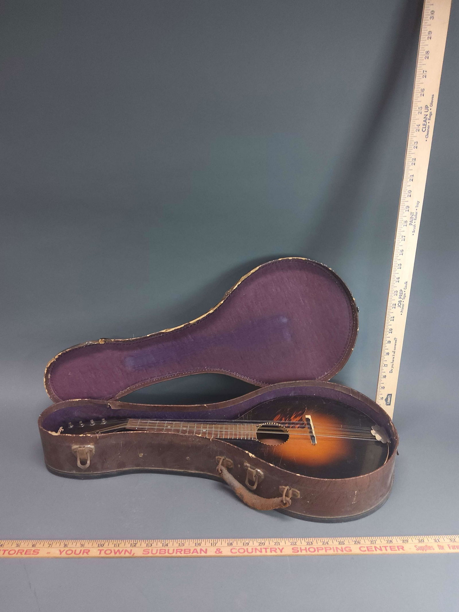 Kalamazoo Mandolin (1 of 9)