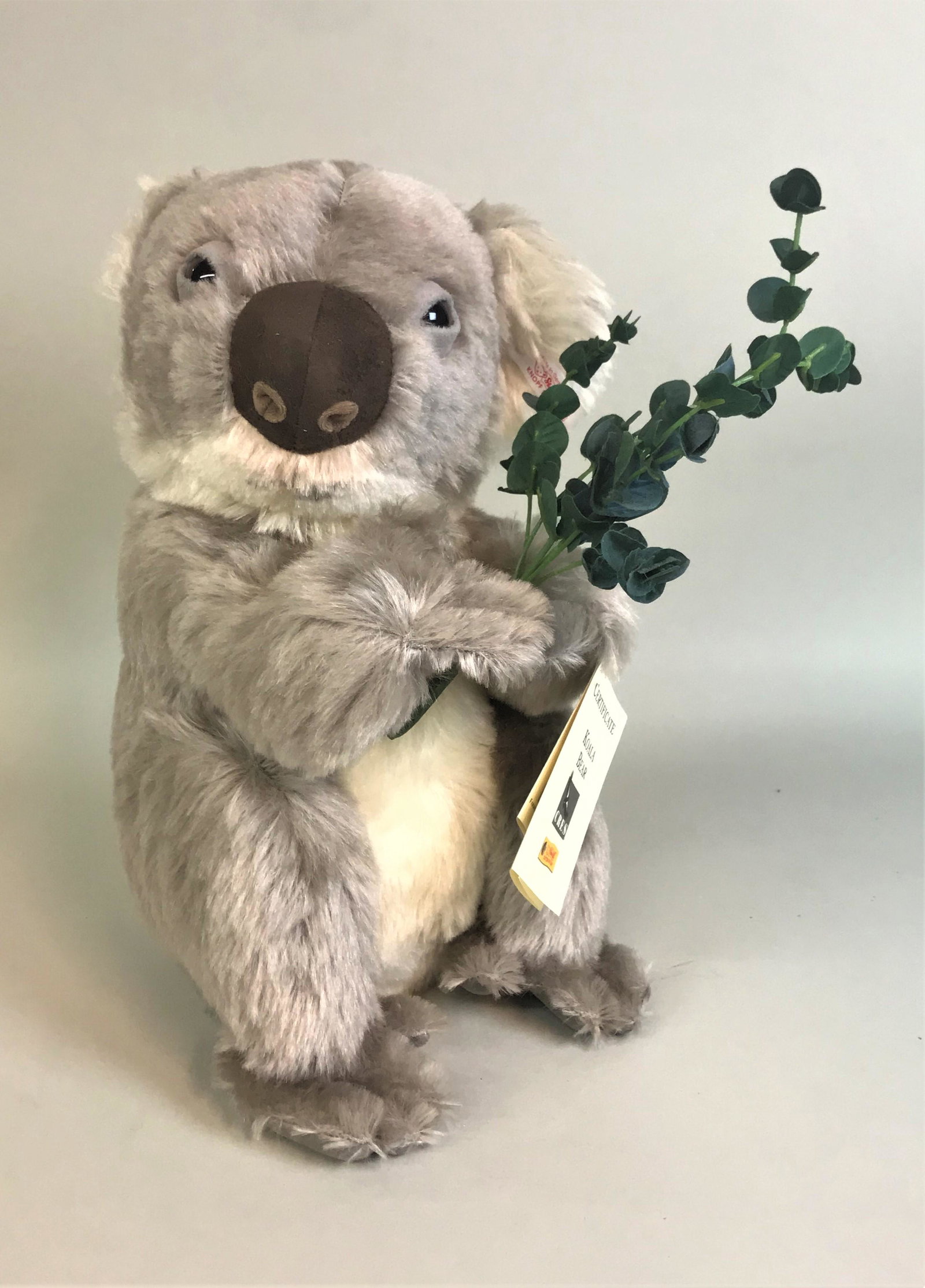 New Steiff Koala Bear: A new Steiff koala bear