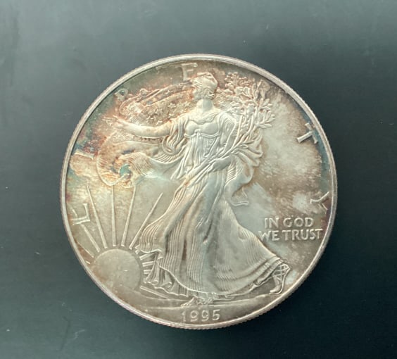 1995 Walking Liberty Dollar (1 of 6)