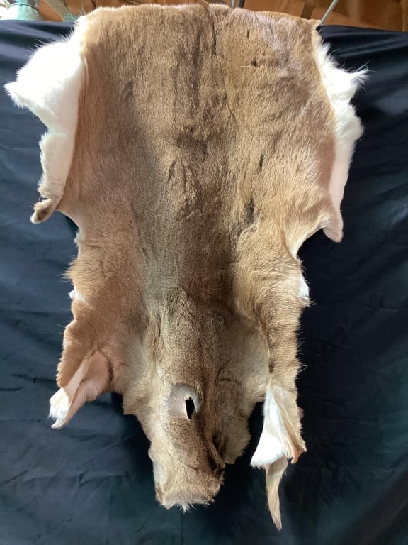 Deer Hide - 10