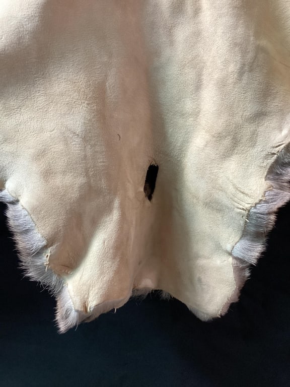 Deer Hide - 13