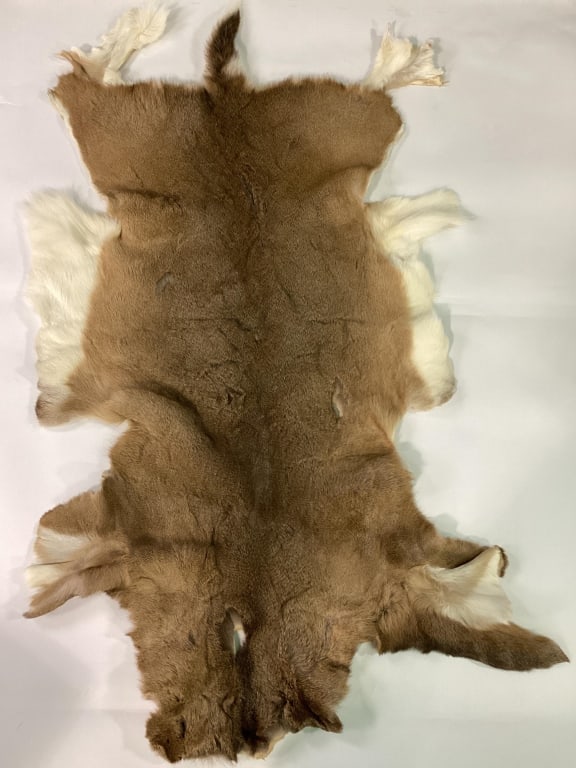 Deer Hide: Measures approx. 31" wide and 60.5" wide