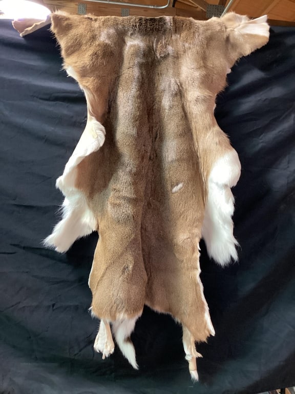 Deer Hide - 2