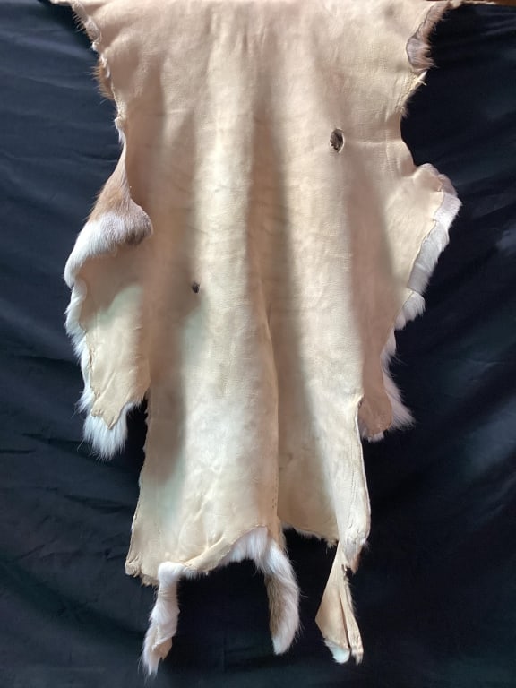 Deer Hide - 5