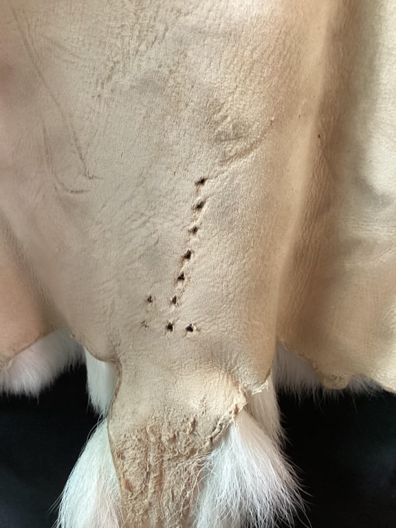 Deer Hide - 8