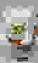 item-50076334=2