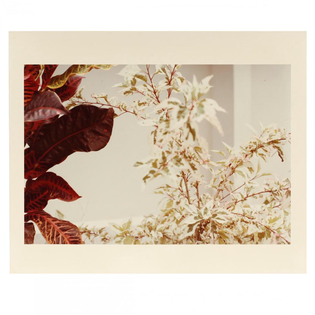 William Eggleston (American, b. 1939), Untitled from (1 of 4)