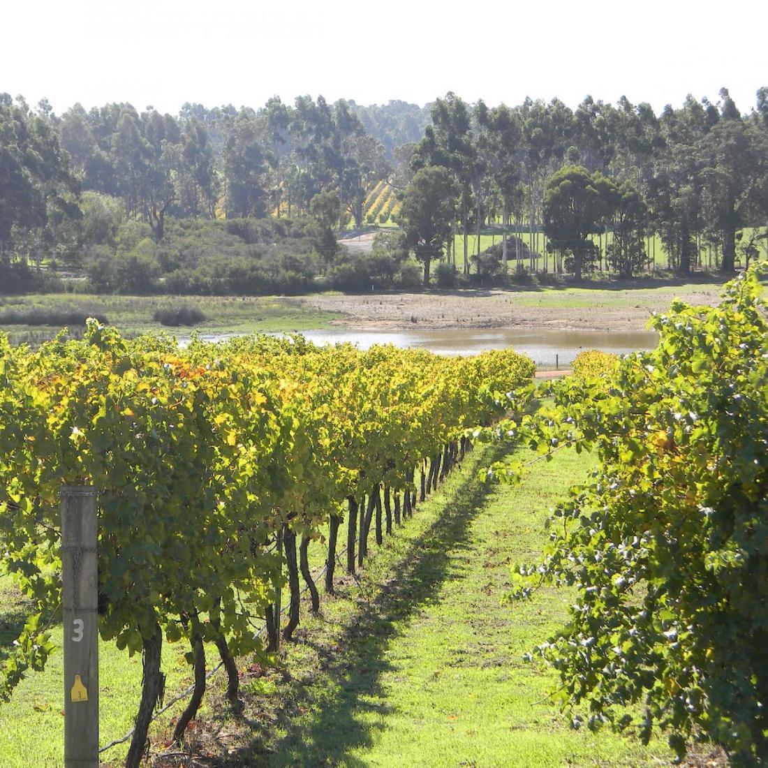 William Hill - Vintage 1986 (1 of 1)