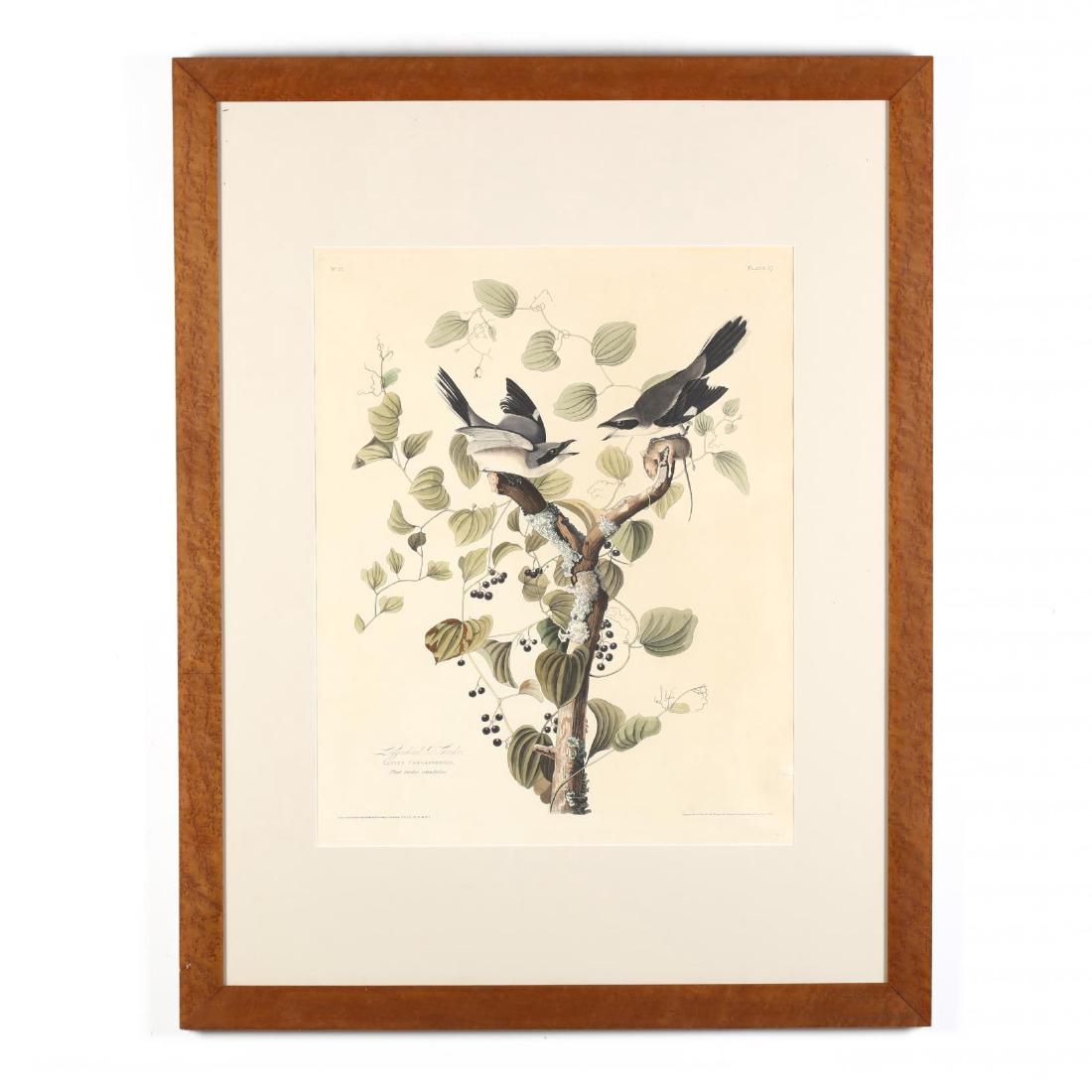 after John James Audubon (American, 1785-1851), (1 of 4)