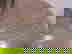 item-477567=3