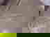 item-477606=2