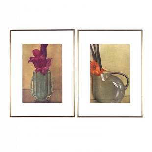 Sheila Metzner (American, b. 1939), Two Floral Fresson: the first: Painted Gladiola (1981), pencil signed, dated, and numbered "eight of fifty" to verso; the second: also pictures gladiolas, pencil signed, dated (1981, print 1982), and numbered "twenty six