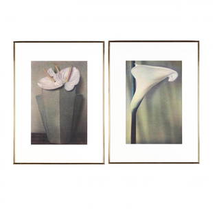 Sheila Metzner (American, b. 1939), Two Floral Fresson: the first: Calla (1981), pencil signed, dated, and numbered "eight of fifty" to verso; the second: White Anthuriuims, Grey Vase (1981, print 1982), pencil signed, dated, and marked as an edition of fi