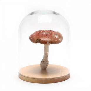 Roxy Paine (NY, b. 1966), Amanita Muscaria #11: polymer, oil, lacquer, wood, and glass; 2004. DOA 13 x 9.5 in. Roxy Paine will be familiar to anyone who has visited the NC Museum of Art since the opening of the West Building in 2010. His large stai