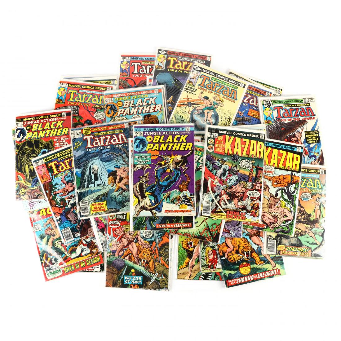 Marvel Jungle Superheroes (1 of 5)