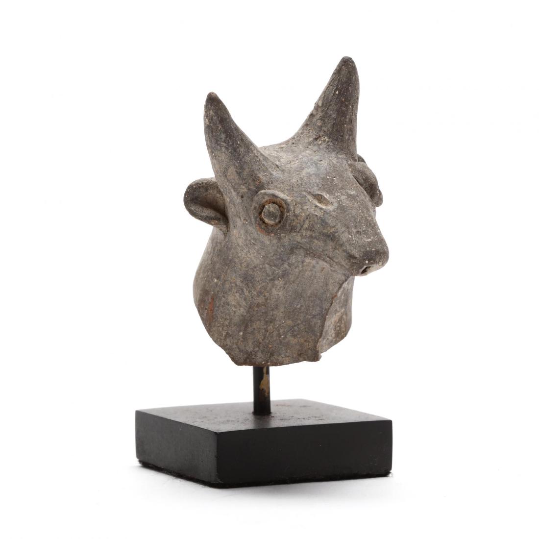 Cypriot Bronze Age Head of a Bull From a Larger Piece (1 of 4)