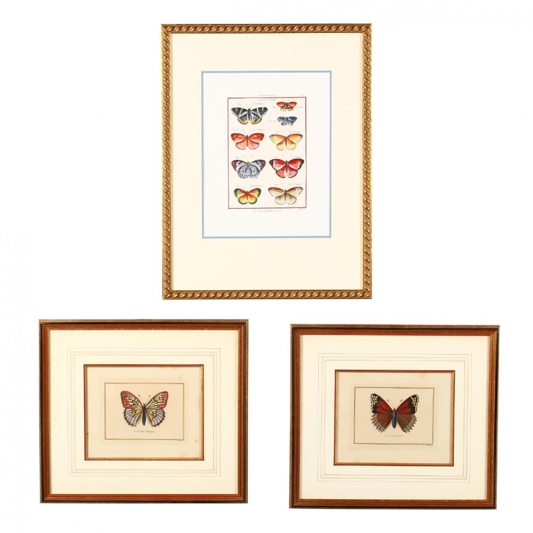 Three Framed Butterfly Prints (1 of 5)