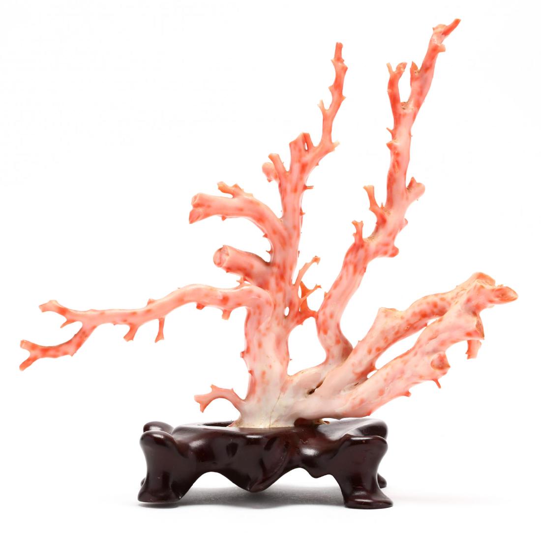 Coral Branch Specimen on Stand: Coral Branch Specimen on Stand first half 20th century, spotted pink/white coral branch set on a custom carved hardwood stand. DOA 10 x 10 x 3.5 in. Private Collection of a Lady, Richmond, VA Addition
