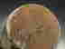 item-4081632=2