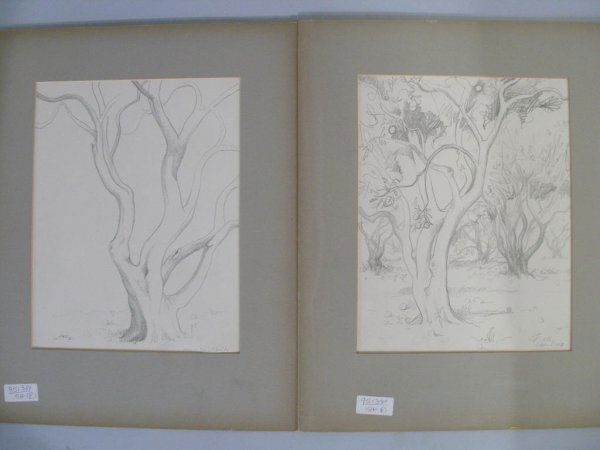 Emlen Etting (PA, 1905-1993), Florida Scenes,: Emlen Etting (PA, 1905-1993), Florida Scenes, the first a pencil on paper drawing of an orange grove, signed and titled lower right "Etting / Lakeland 1949," (SS 9.25"h x 7.25"w); the second a pencil