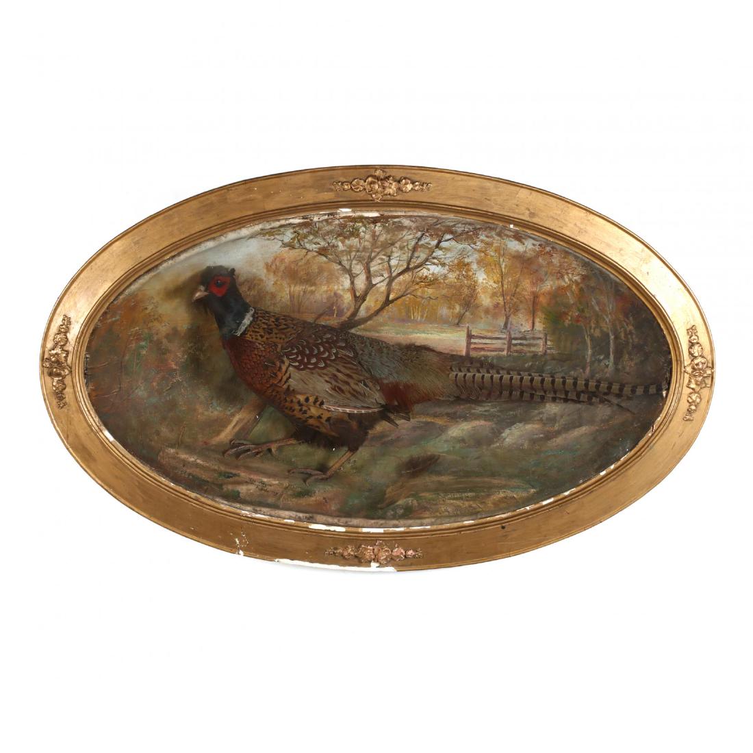 Vintage Framed Taxidermy Pheasant: Vintage Framed Taxidermy Pheasant circa 1920, painted mache background signed "The Angelo, Taxidermist, Buffalo, N.Y.", presented in a gilt wood and gesso frame under glass. DOA 25 x 41 in. Additional