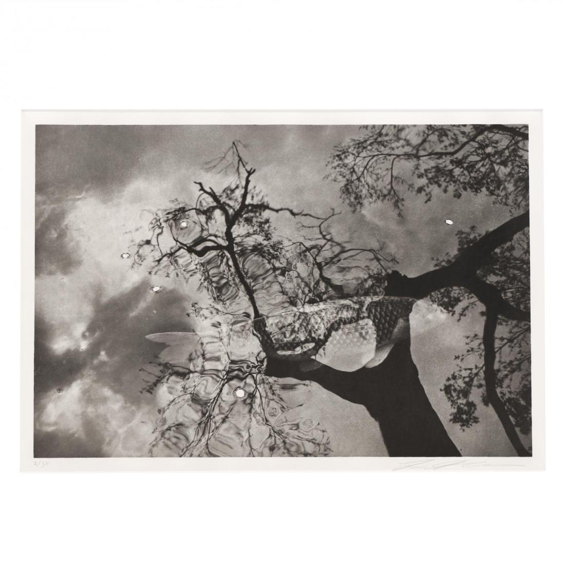 Lee Friedlander (New York, born 1934), Untitled (from: Lee Friedlander (New York, born 1934), Untitled (from Cherry Blossom Time in Japan)gravure on paper, 1996, pencil signed and dated 2/50, also stamped and dated to verso, published by Haywire Press, un