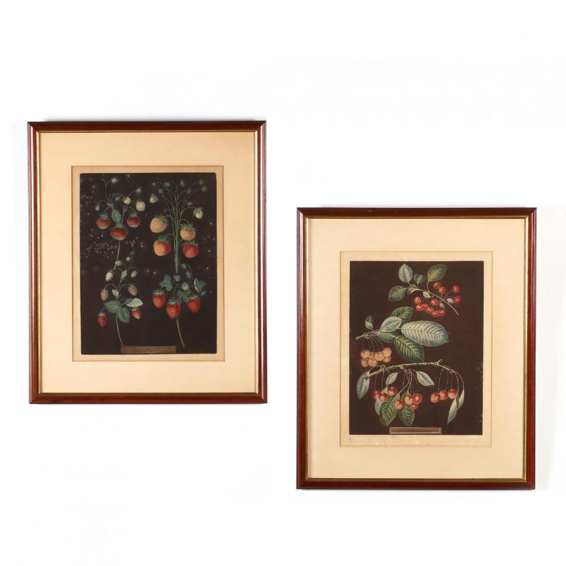 after George Brookshaw (British, 1751â€“1823), Two: after George Brookshaw (British, 1751â€“1823), Two Strawberry and Cherry Engravingsaquatint with stipple engraving in colors, early 19th century, presented in uniform matting and framing. DOA 25