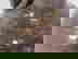 item-636106=2