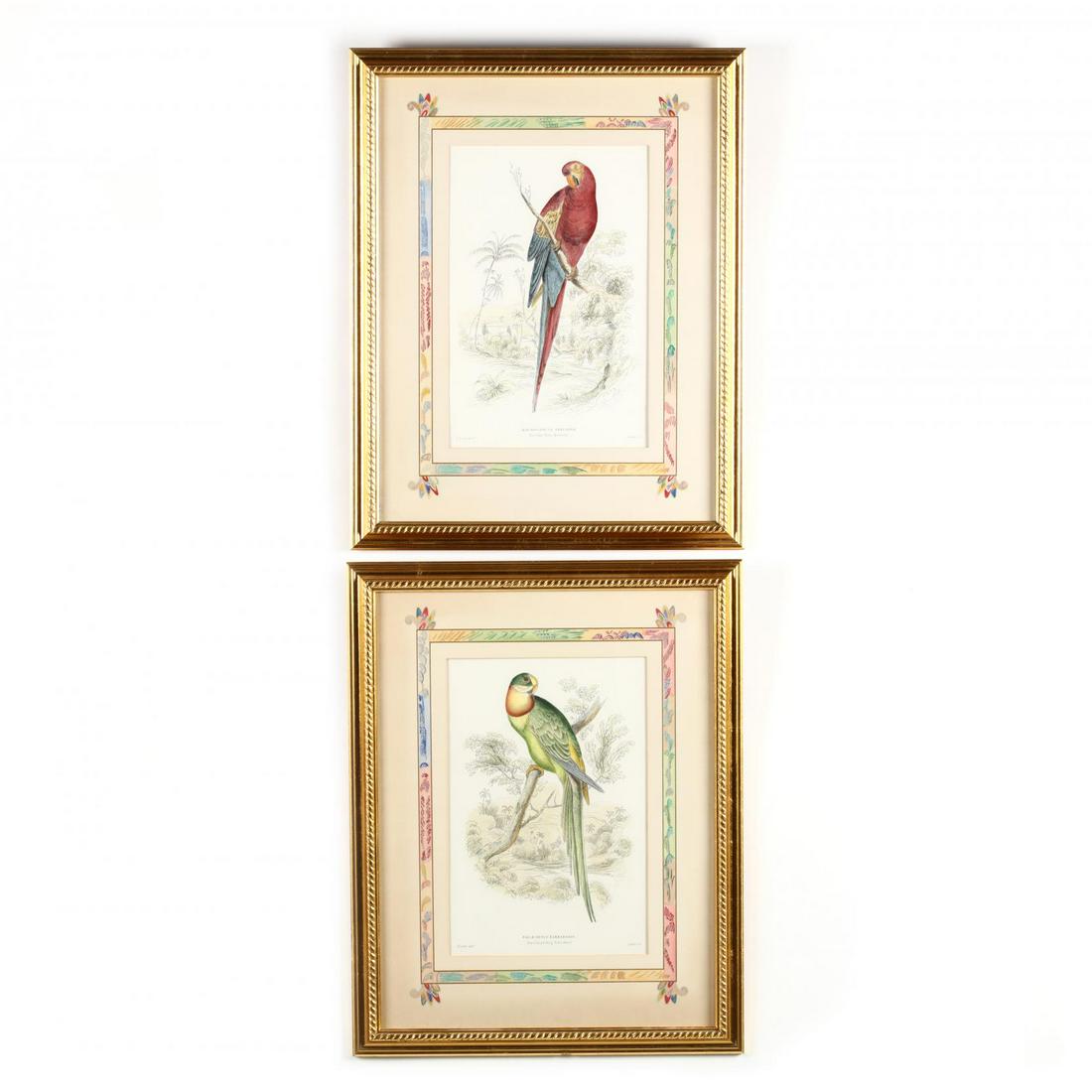 Pair of Framed Decorative Parrot Prints: Pair of Framed Decorative Parrot Printshand-colored prints after Edward Lear, contemporary, housed in uniform giltwood framing with decorated matting. DOA 24 x 18 3/4 in. Chelsea House, Gastonia, Sout